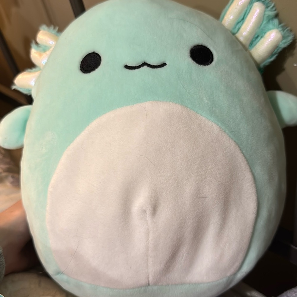 Teal axolotl Squishmallow